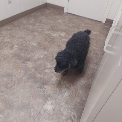 Airway Veterinary Hospital Colorado Springs