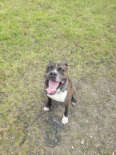 West Point K-9 Academy Inc