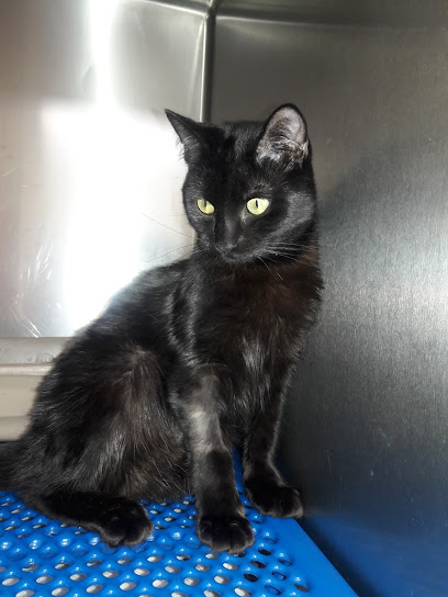 Parajon Animal Clinic