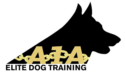 A1A Elite Dog Training