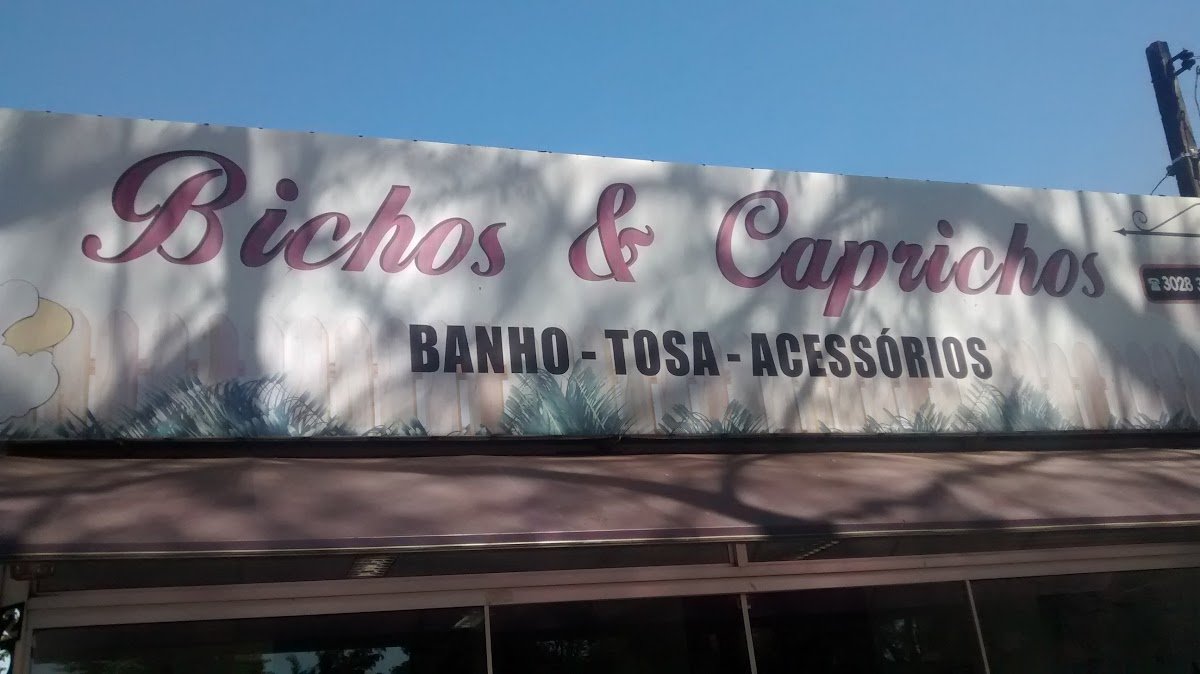 Bichos & Caprichos