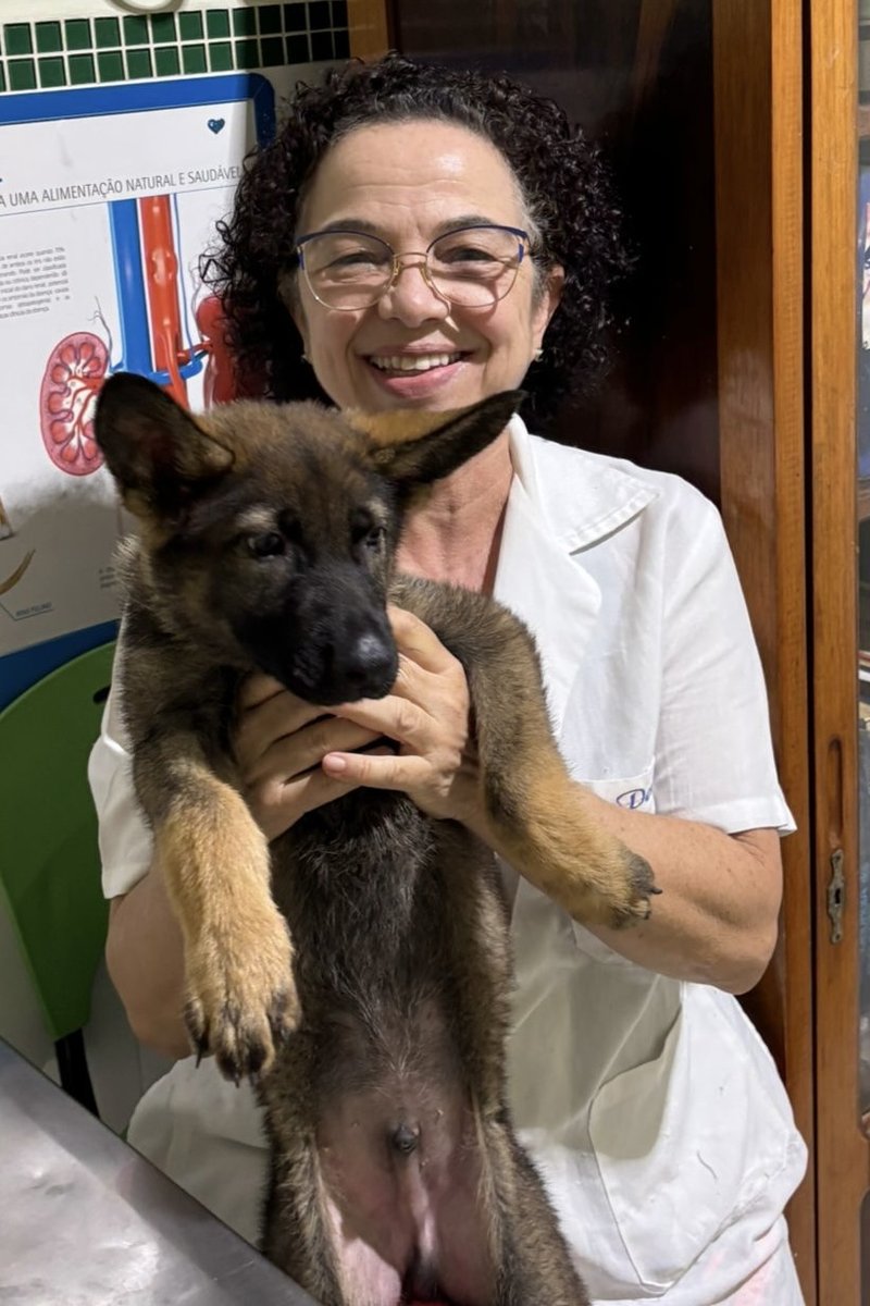 Consultório Veterinário Bichos e Cia