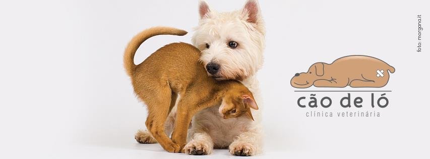 Clínica Veterinária Cão de Ló