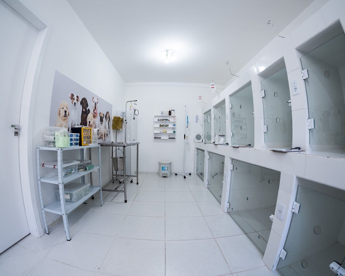 Clínica Veterinária Bichos Zen