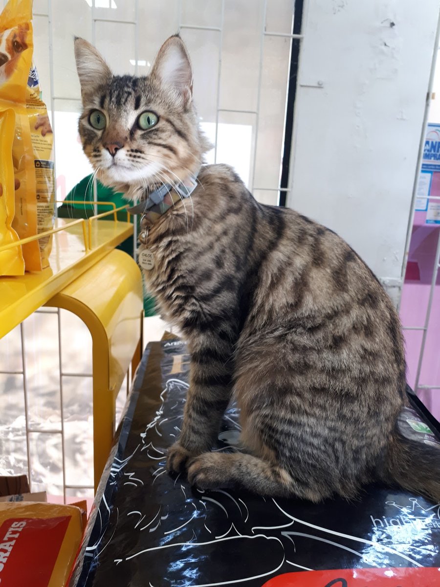 Agropecuária Campo Verde