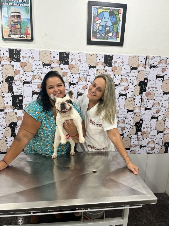 Veterinária Taquara