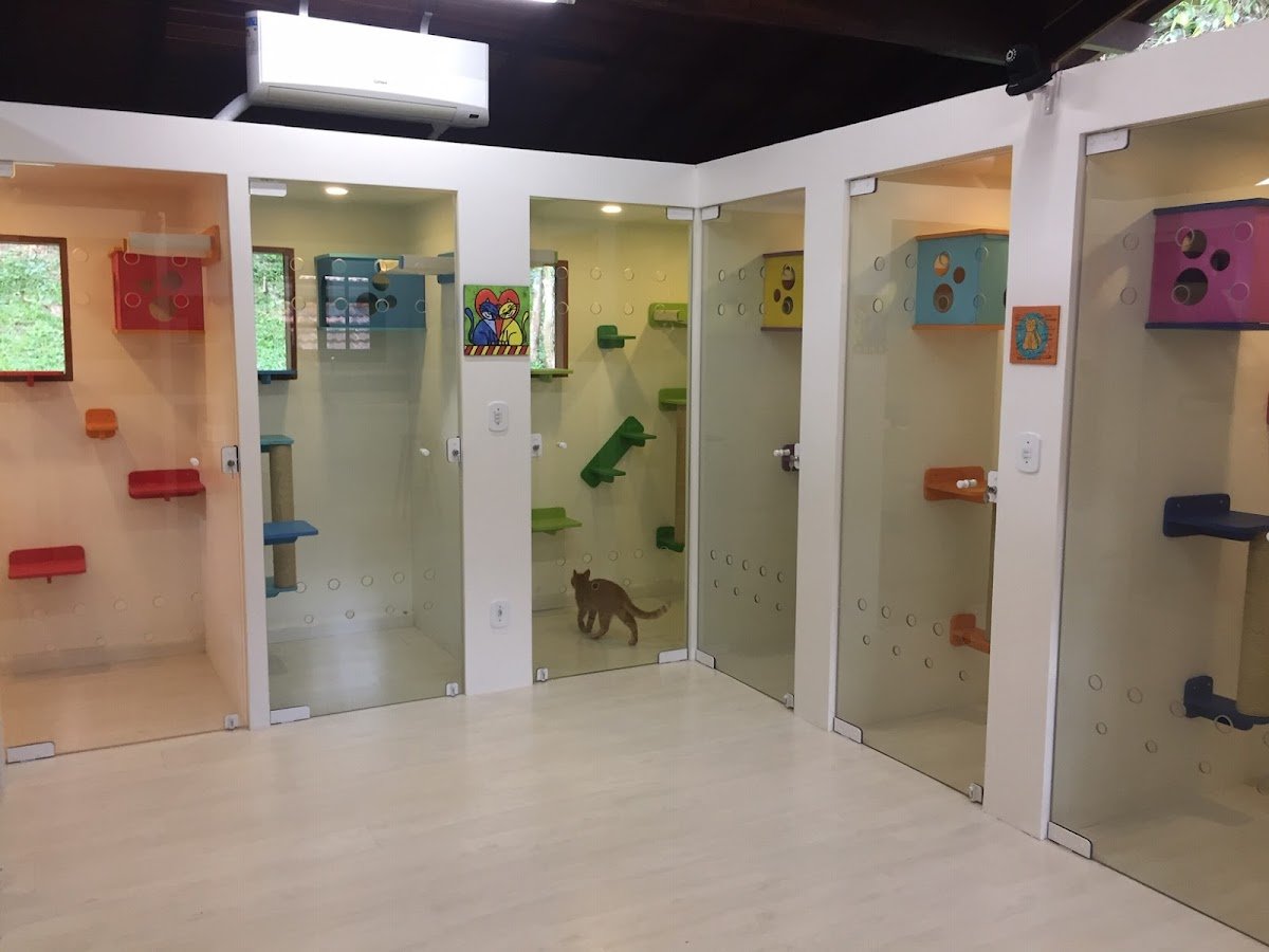 Veterinária Vira Lata