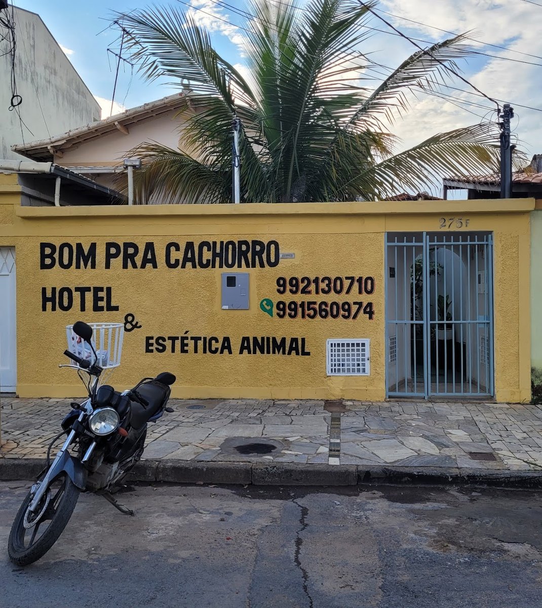Hotel para cachorro