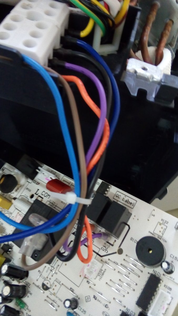 Pet Shop Caes Passaros E Cia