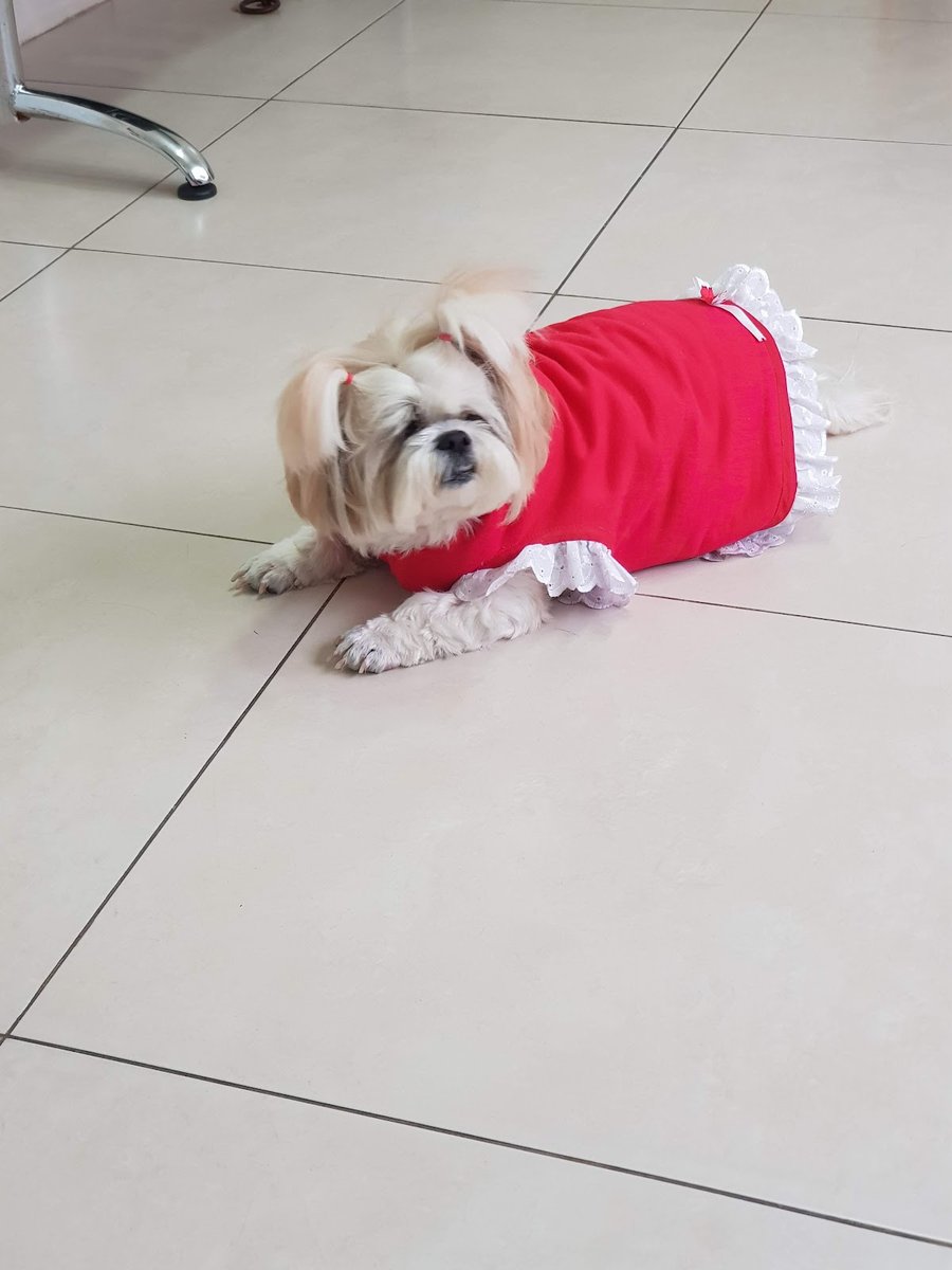 Clínica Veterinária Itaquera