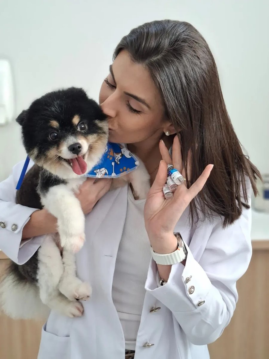 Consultório Veterinário ClovismarVet