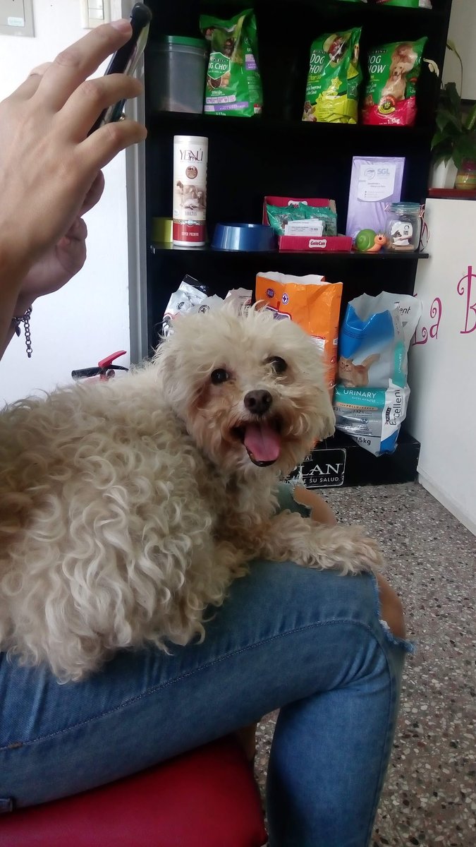 VETERINARIA DRA ORNETTI MARIANA