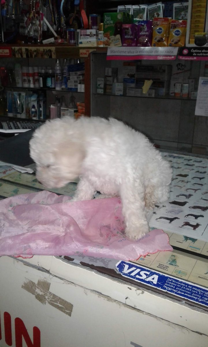 Veterinaria San Roque