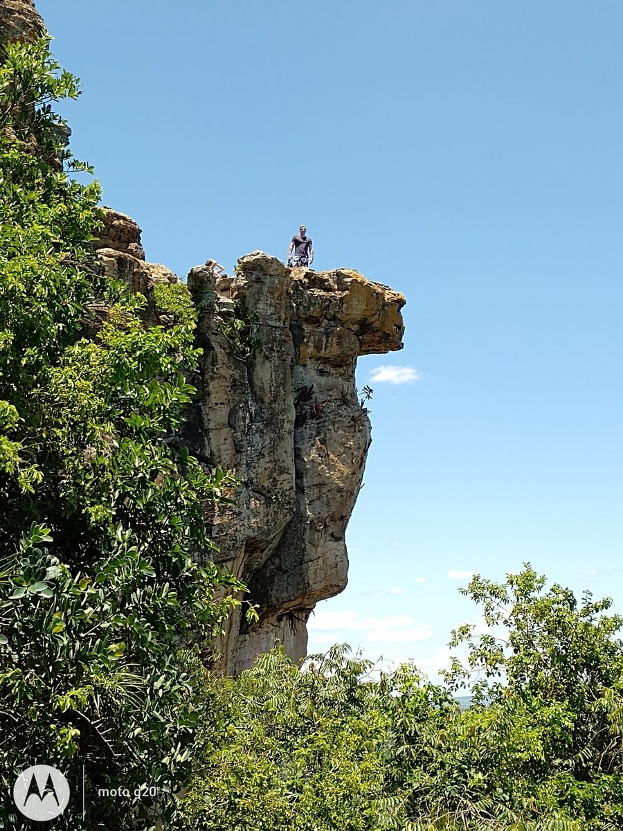 Agência Estadual Defesa Sanitária Animal Vegetal-IAGRO-Depto de Inspeção Def Agropecuária