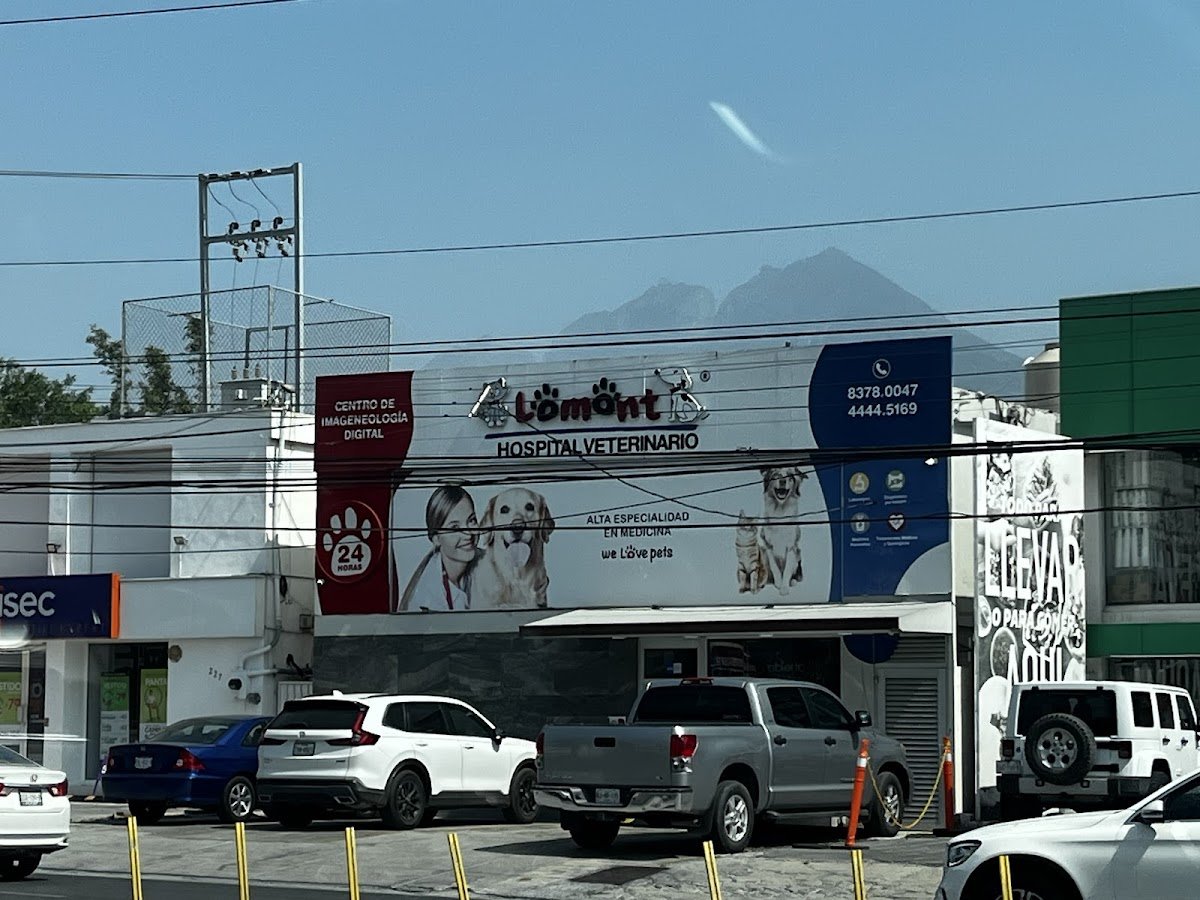 Hospital Veterinario