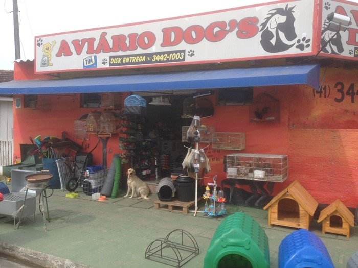 Aviário Dogs