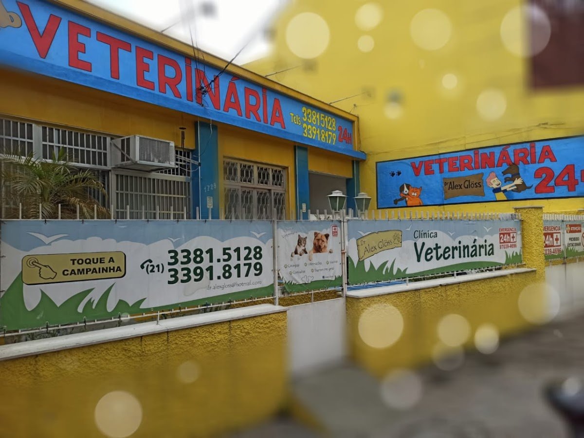 Veterinária Modelo (Alex Machado)