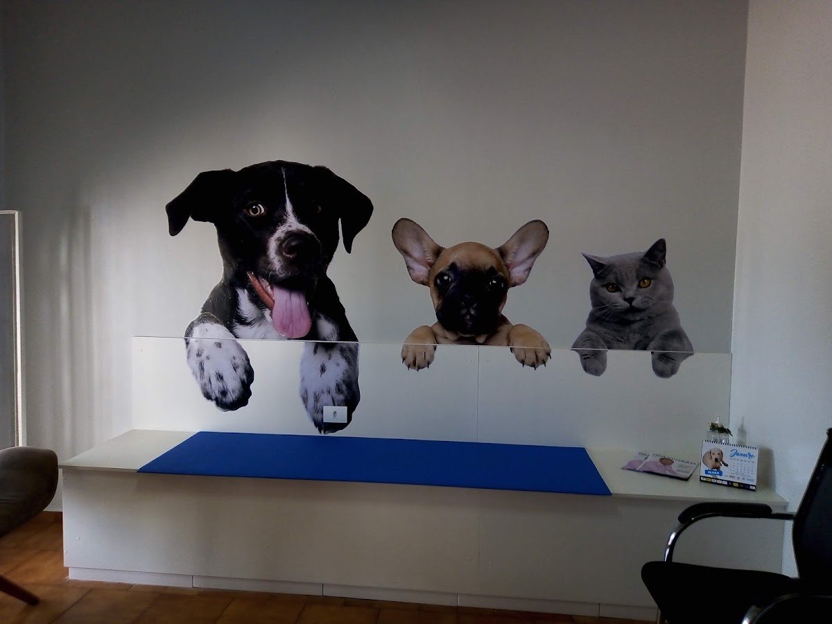 José Alexandre Vieira Veterinário