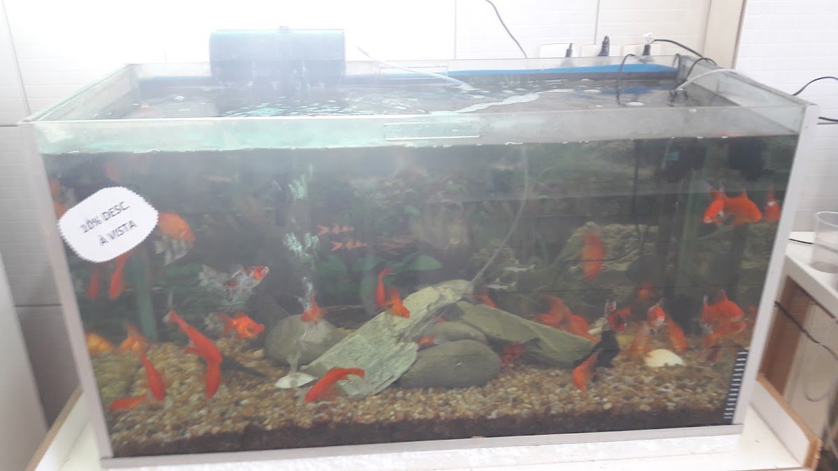 Agrovet Veterinària