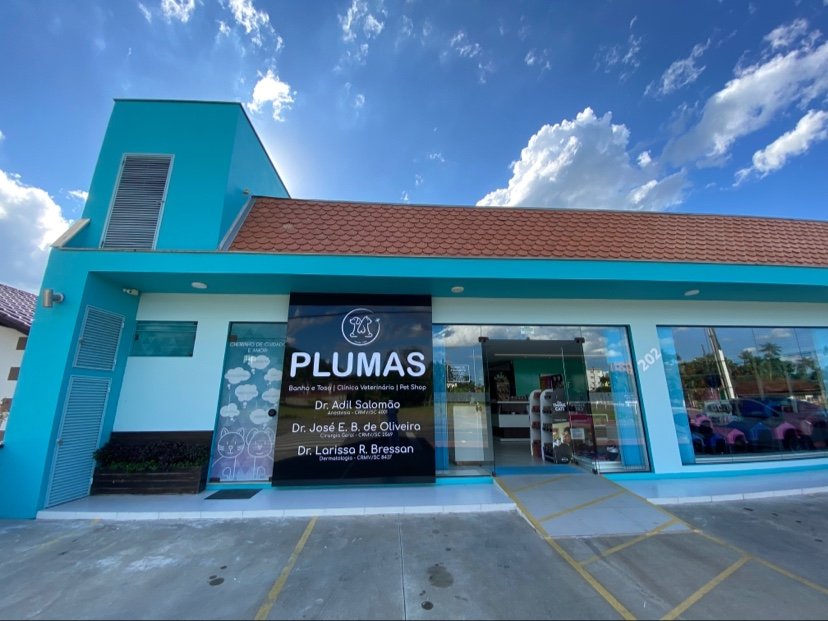 Pet Shop Plumas