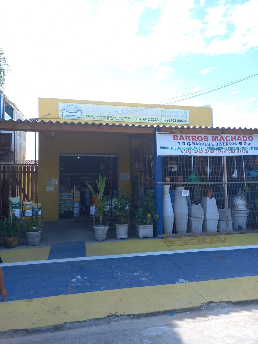 barros machado.