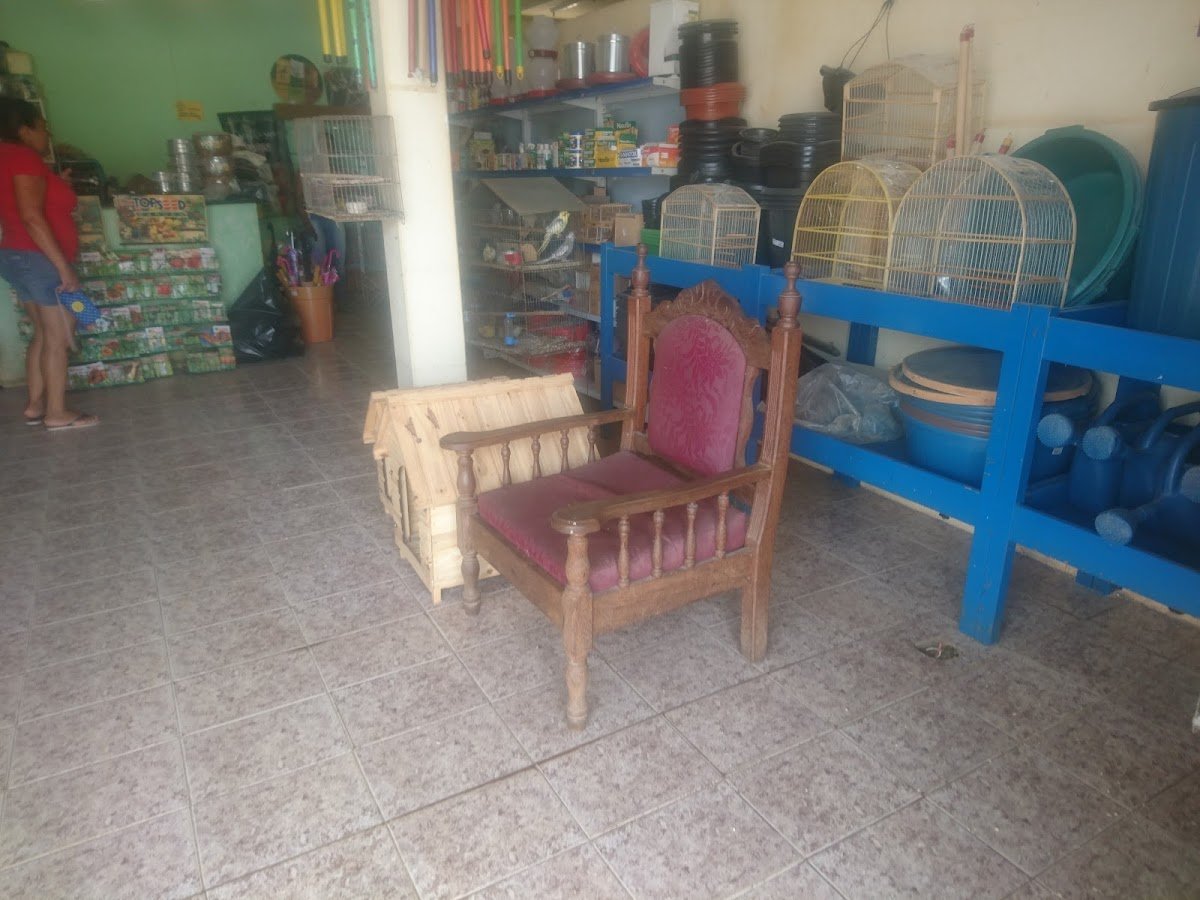 Pet Shop Bichinhos Amigos