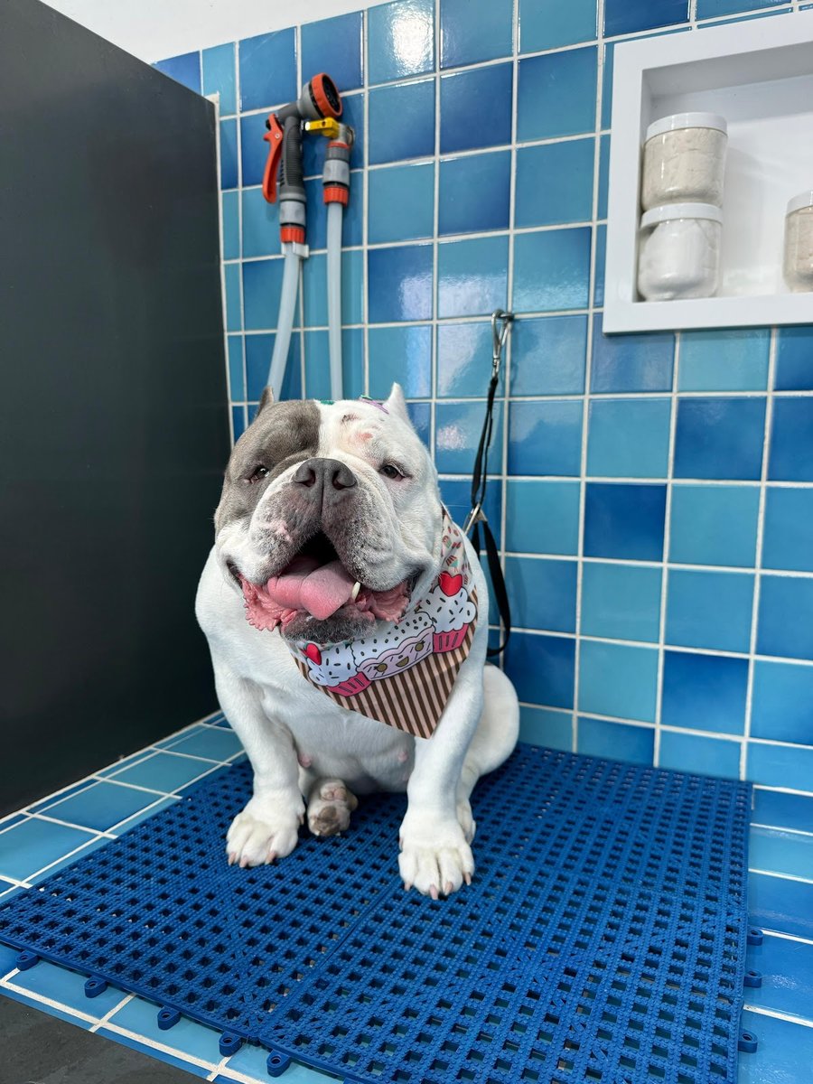 Clínica Veterinária Mundo Pet