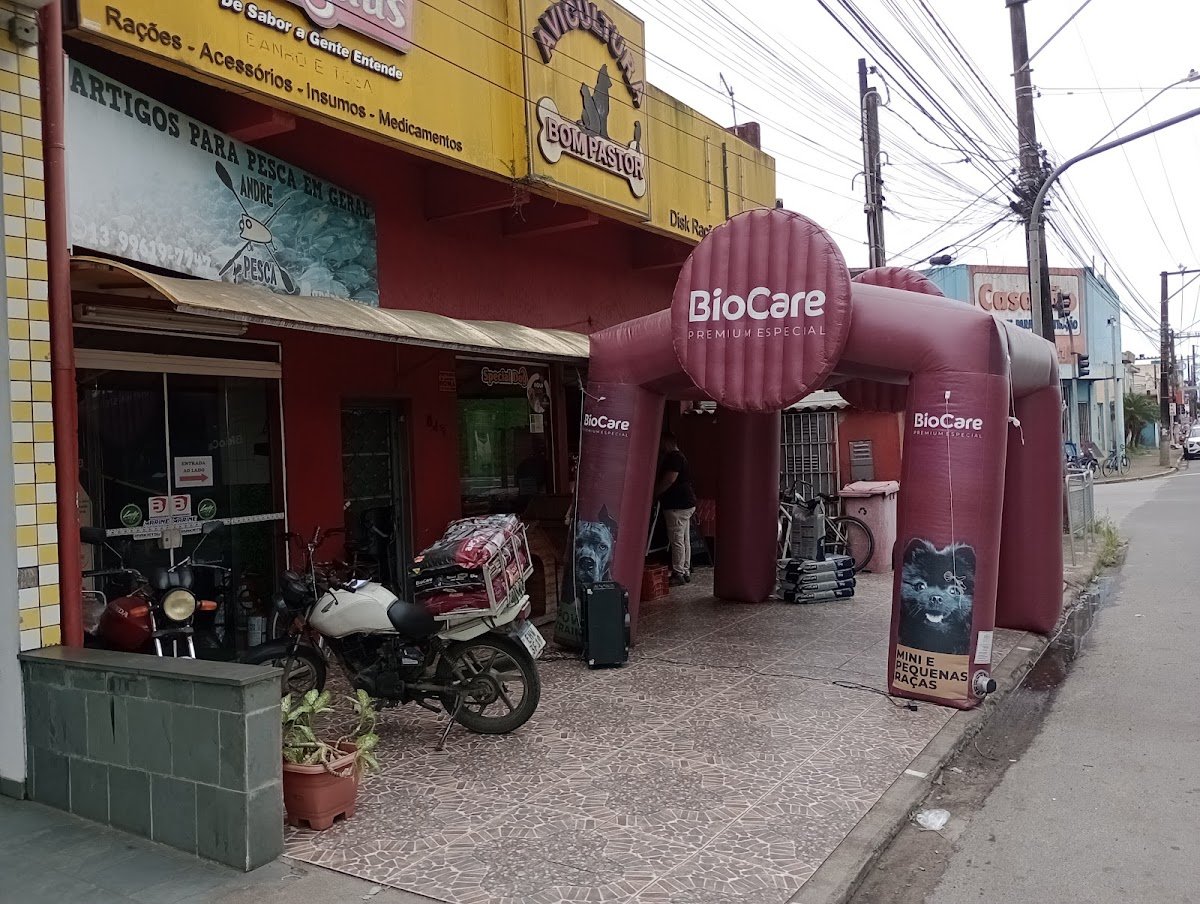 Avicultura Bom Pastor V