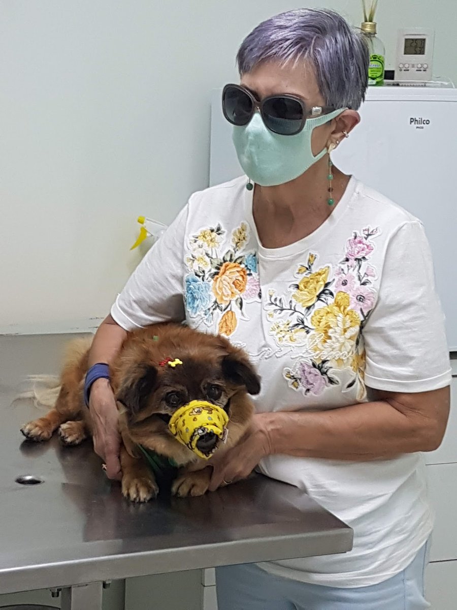 Eduardo Ghiggi Oftalmologia & Dermatologia Veterinária