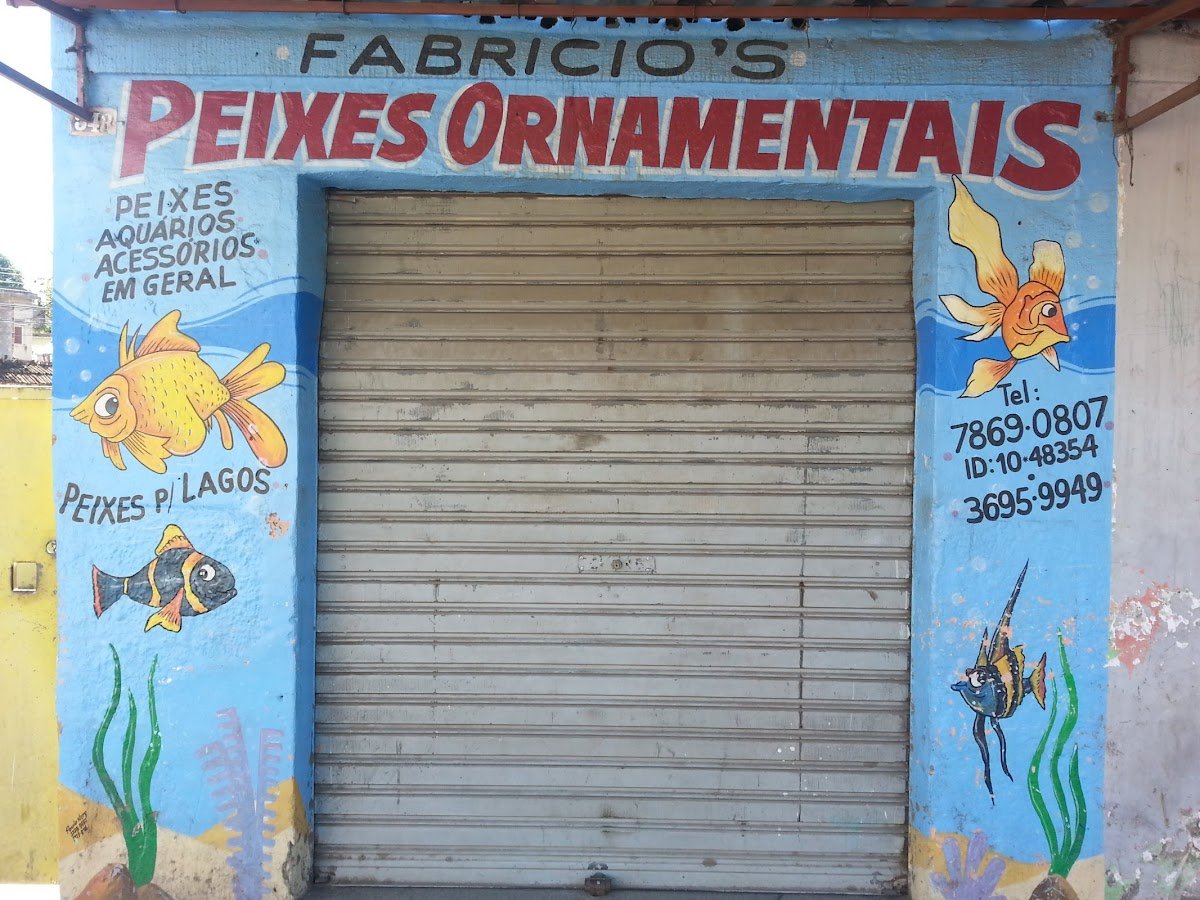 Fabrício's - Peixes Ornamentais