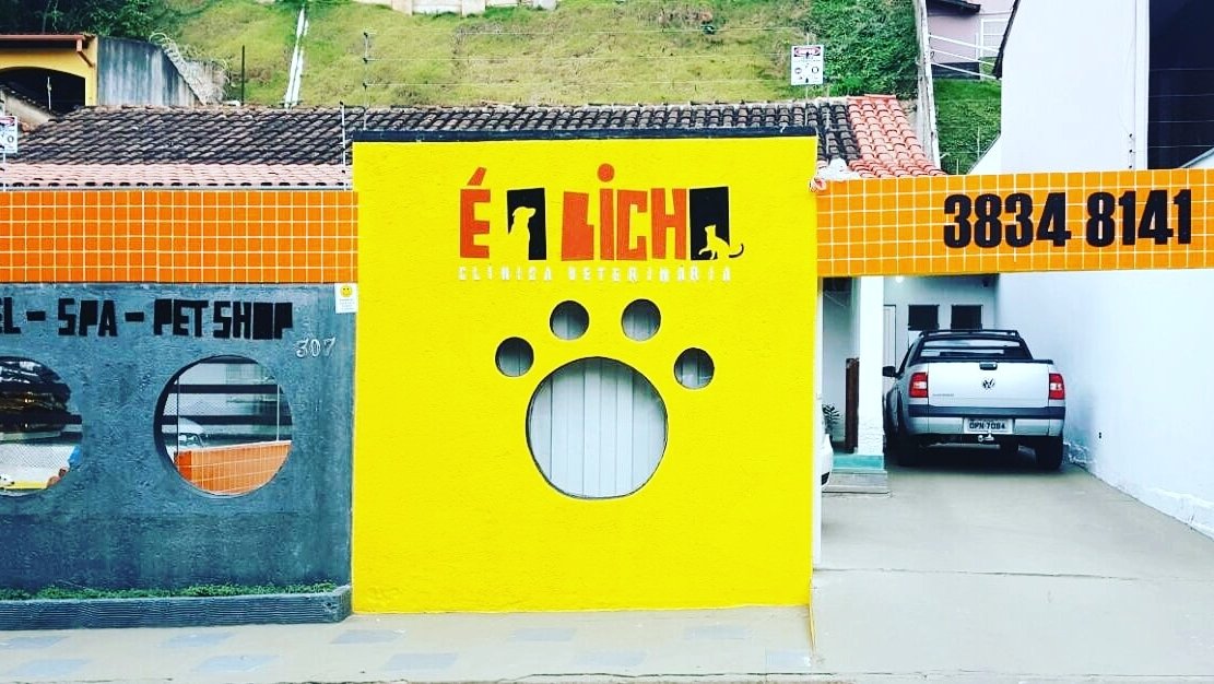 Clínica Veterinária É o Bicho