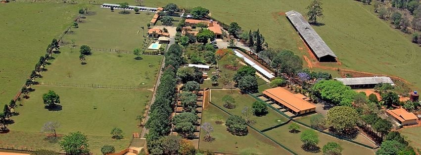 Aldo Macellaro Junior