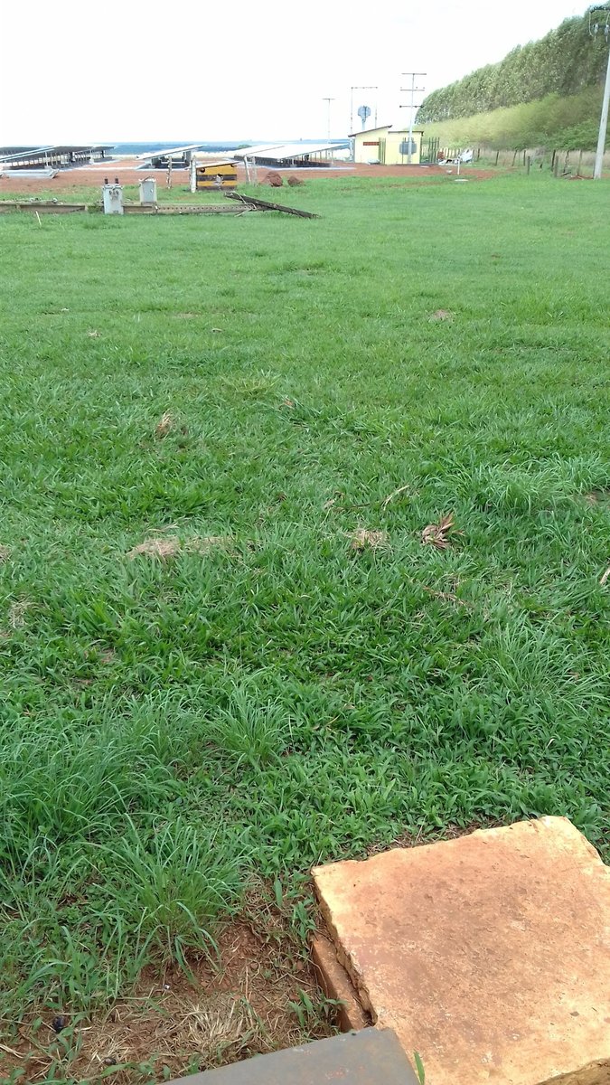 Agropecuária Rio Paraíso