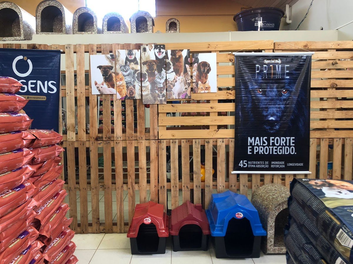 Banho e tosa arca de Noé