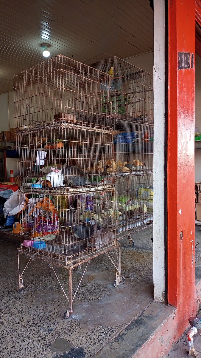 Clínica Veterinária Quatro Patas