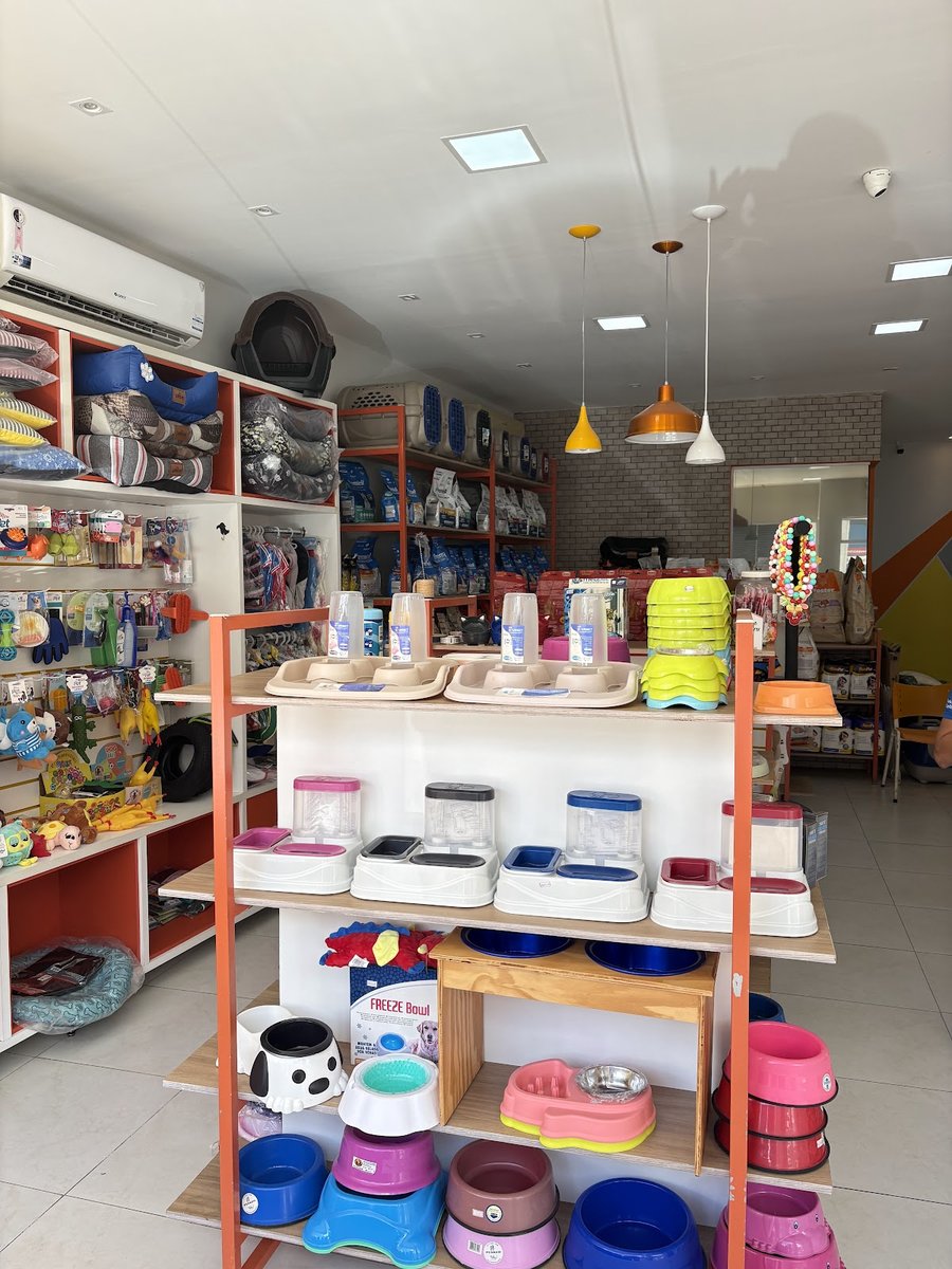 Vet em Casa - Drª Cinthia Figueiredo