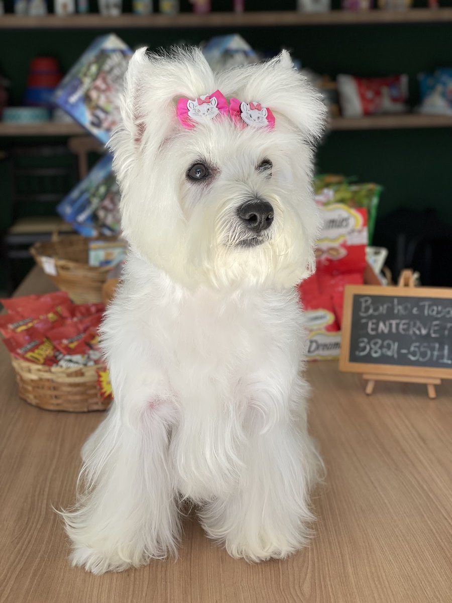 Clínica Veterinária Centervet Lavras