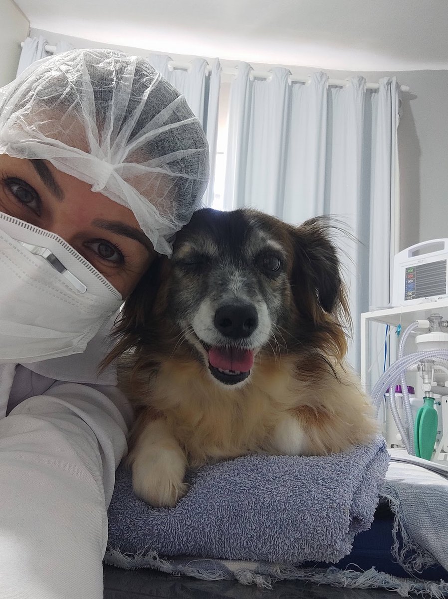 Clinipet - Clínica Veterinária