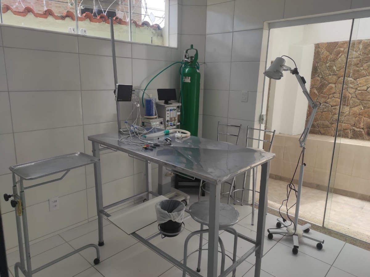 Veterinária Pulo do Gato