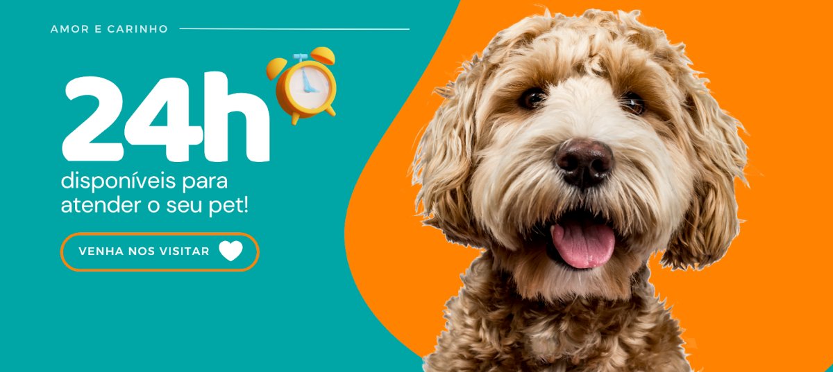 Veterinary Clinic Teotônio Vilela