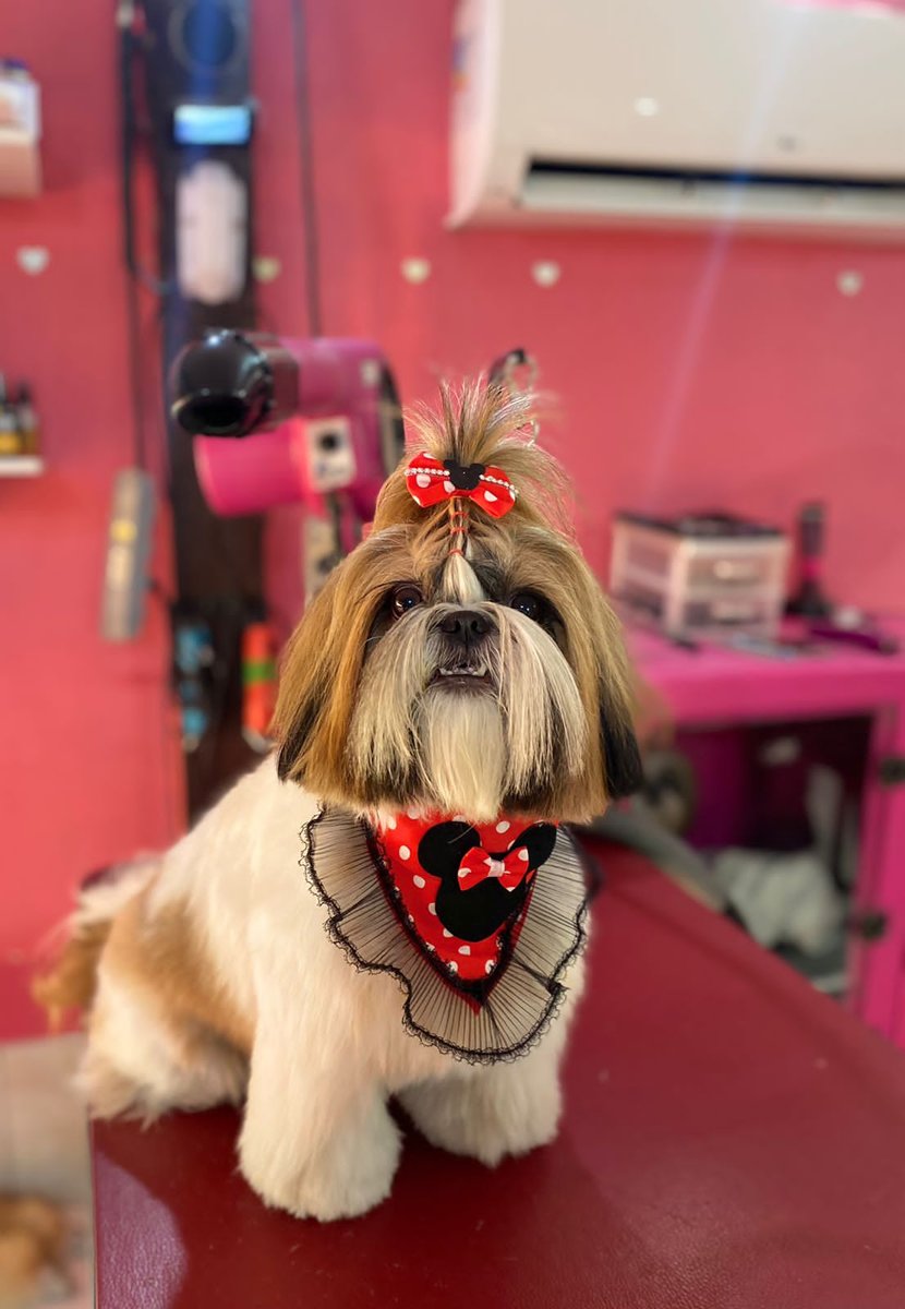 Pet Shop Espaço Amor Pet