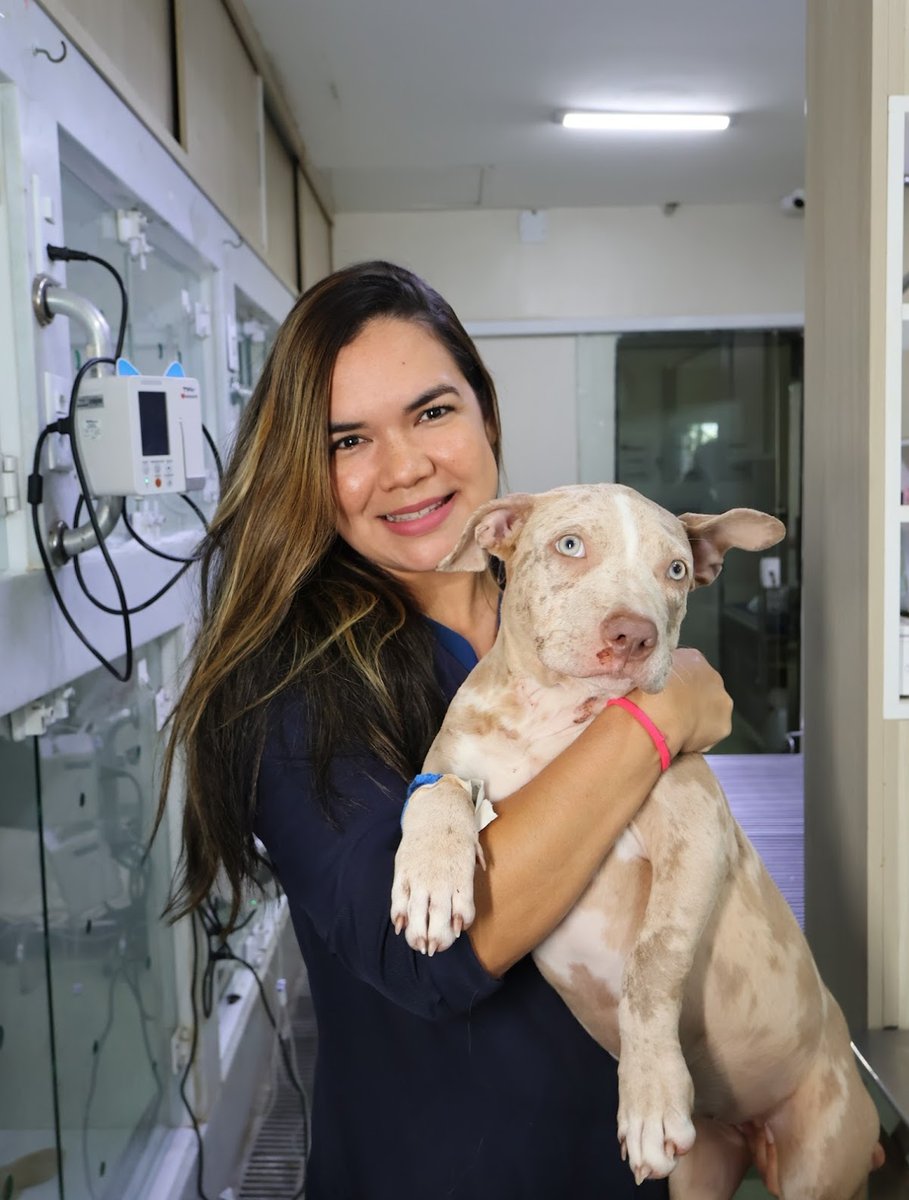 Clínica Veterinária