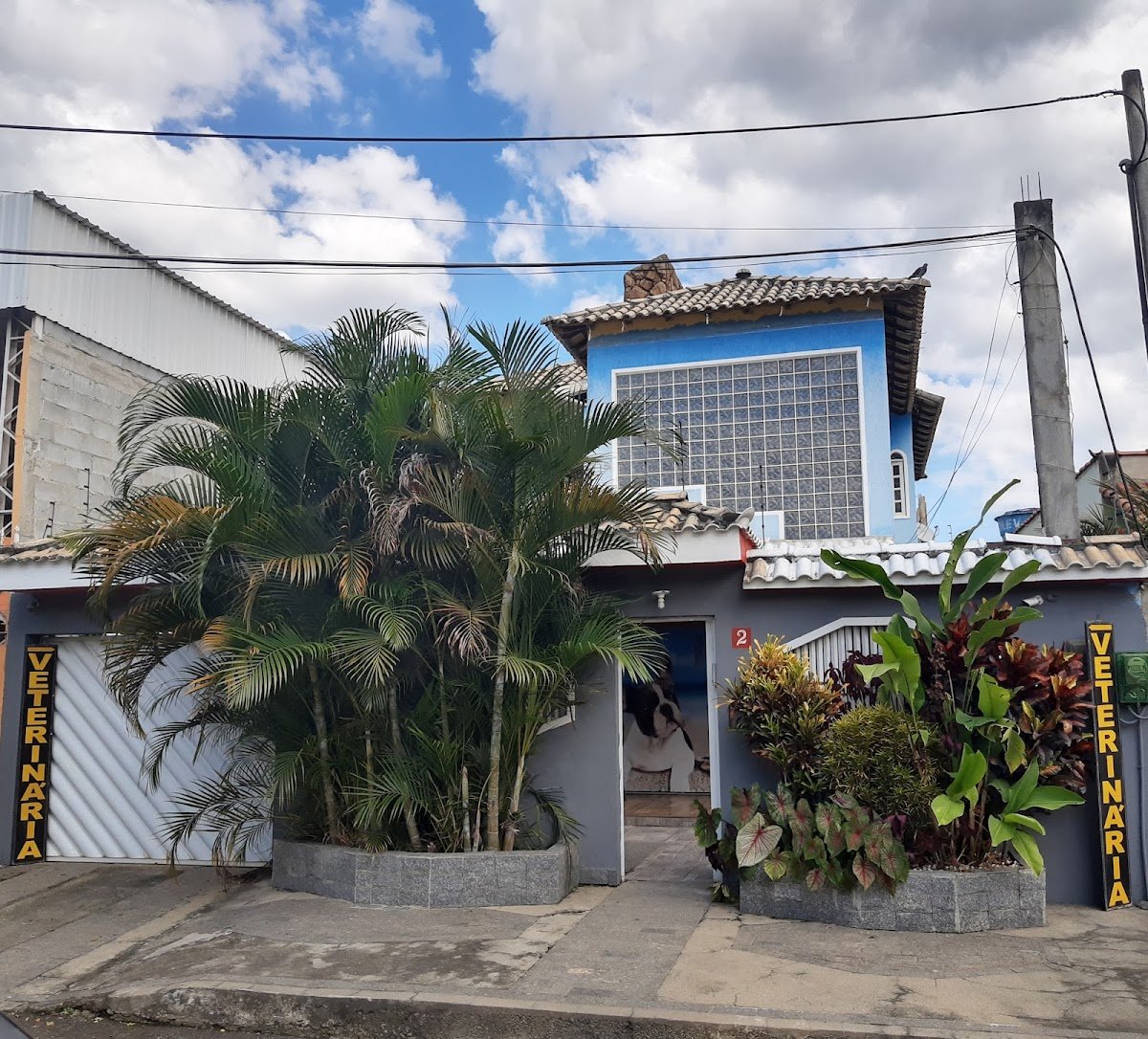 Clínica Veterinária Sunset