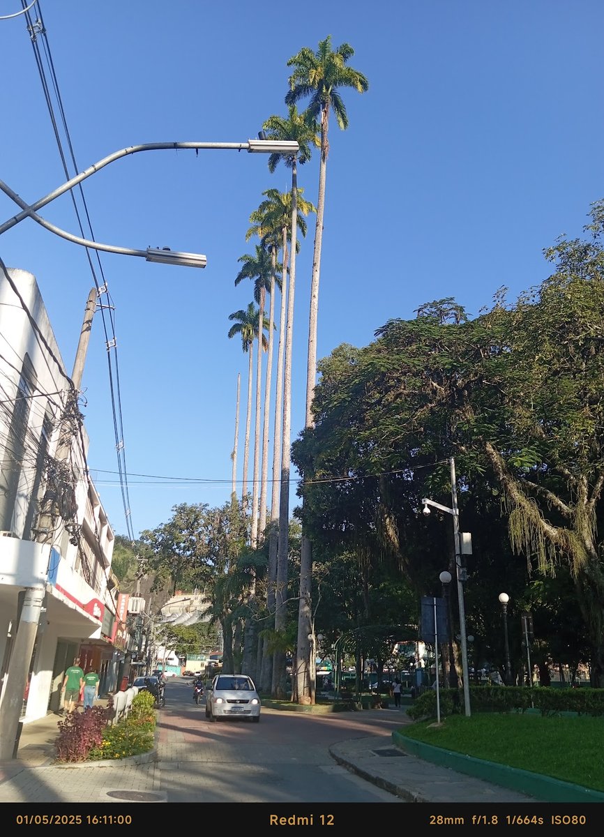 Lilicão Veterinária