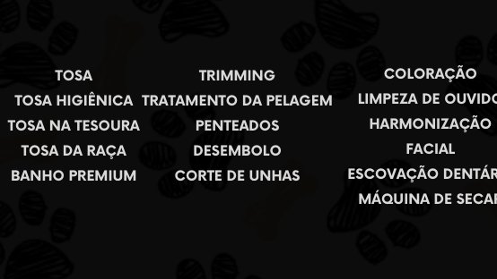 Dog Show Banho e Tosa