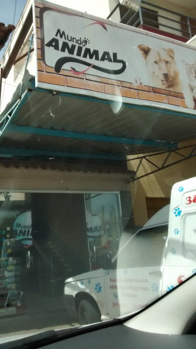 Mundo Animal