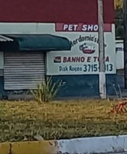 Pet Shop Mordomias Dog