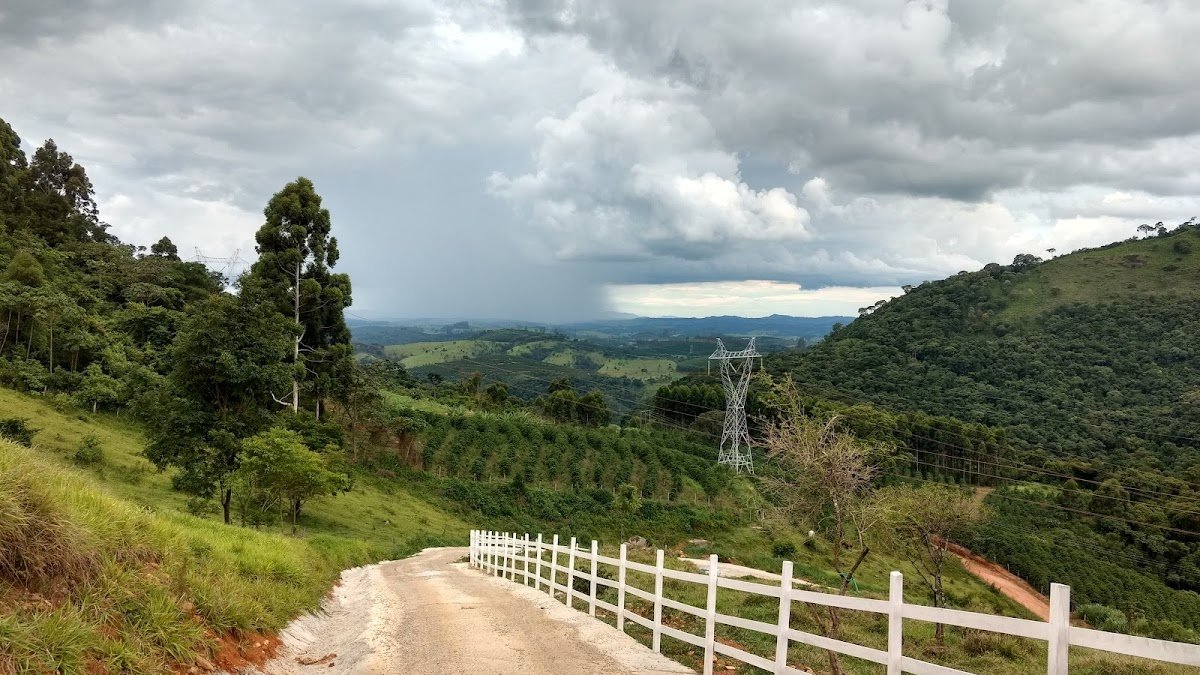 FILHOTES DE LABRADOR