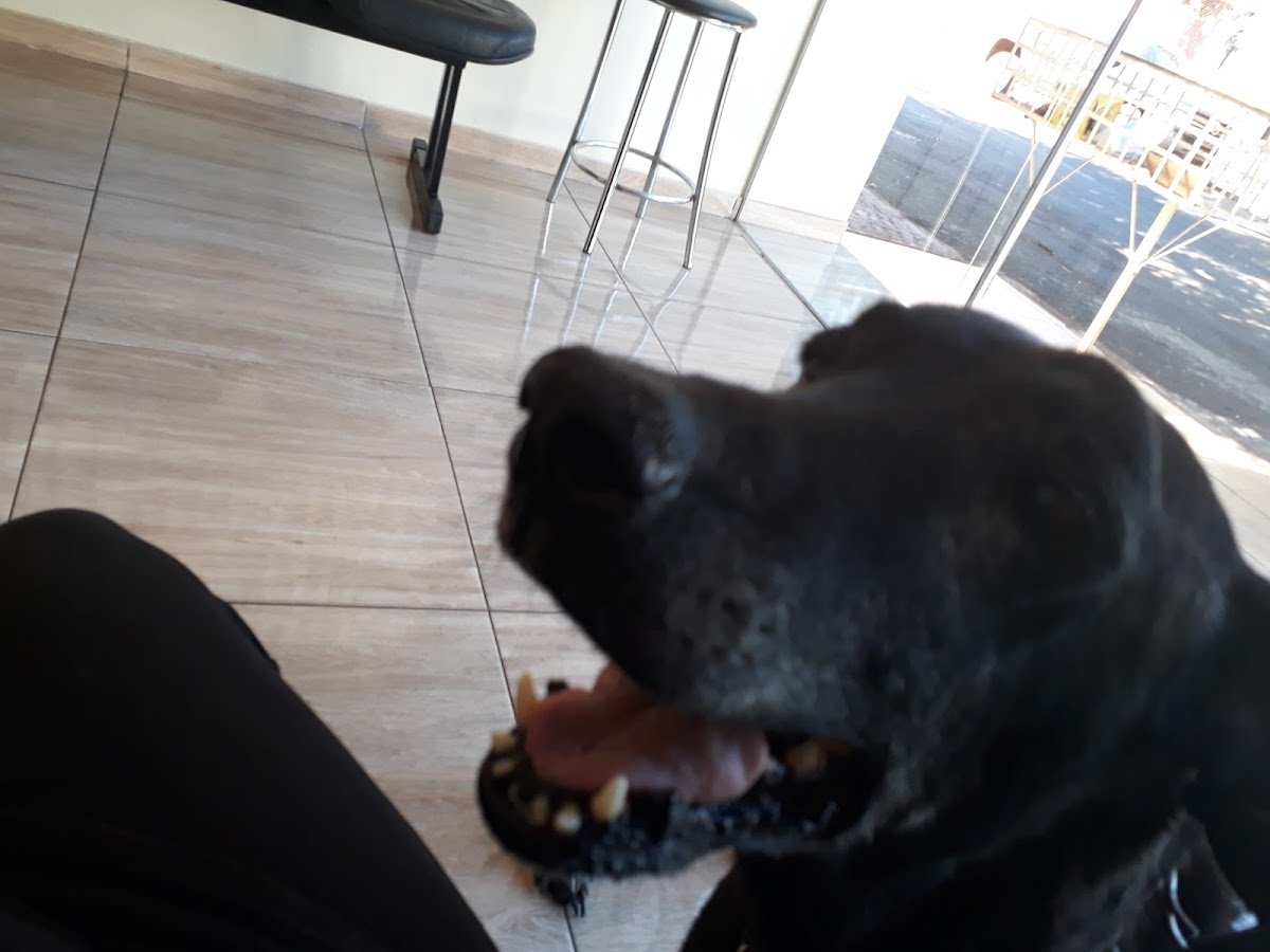 Clínica Veterinaria Doutor Au Au