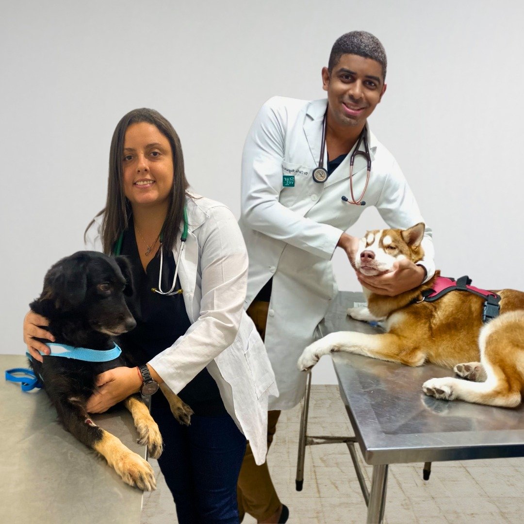 Clinica Veterinaria e Estetica Animal